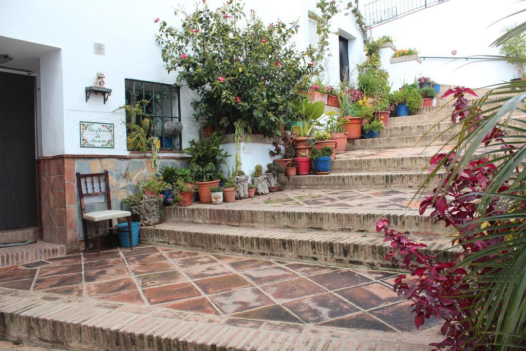 Casas Rurales Jardines Del Visir Genalguacil Eksteriør billede
