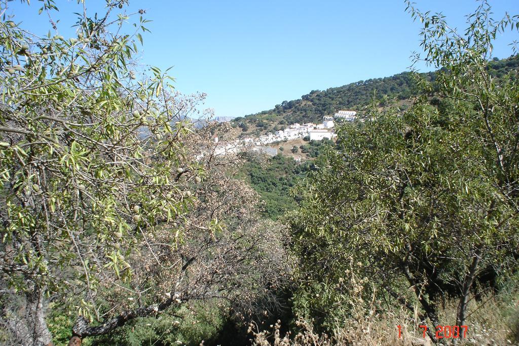 Casas Rurales Jardines Del Visir Genalguacil Eksteriør billede