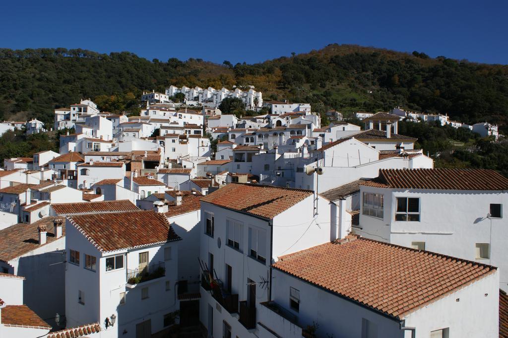 Casas Rurales Jardines Del Visir Genalguacil Eksteriør billede
